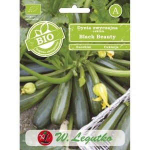 Cukinia - Dynia zwyczajna Black Beauty  >>> nasiona BIO Legutko 2g 