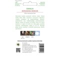 cebula-mieszanka-odmian--1.jpg
