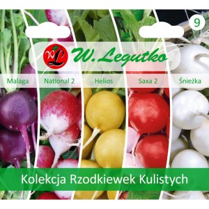 Kolorowe rzodkiewki kuliste - kolekcja 5 odmian >>> nasiona Legutko