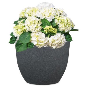 Antracytowa ciemnoszara donica ogrodowa Scheurich Padua 60 Schwarz Granit