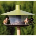 karmnik-dla-ptakow-zielony-finch.jpg