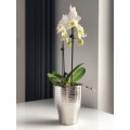 srebrna-lustrzana-oslonka-do-storczyka-orchidei.jpg