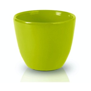 Mini osłonka kaktusówka zielona Polnix 71.022 7 cm