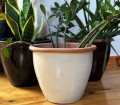 kremowa-donica-polnix-glazed.jpg