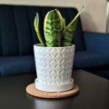 biale-doniczki-ceramiczne-polnix.jpg