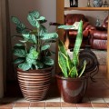 brazowa-donica-ceramiczna-polnix-glazed.jpg