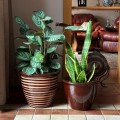 brazowa-donica-ceramiczna-glazed-polnix-w-paski.jpg