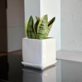 polnix-barcelona-ceramiczna-doniczka-biala-kwadratowa-oslonka-na-doniczke-z-podstawka-podstawkiem.jpg