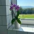 oslonka-na-doniczke-dekoracyjna-biala-ceramiczna-doniczka-do-storczyka-z-ozdobna-powierzchnia-polnix-orchid.jpg