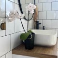 dekoracyjna-oslonka-na-doniczke-ceramiczna-czarna-doniczka-na-storczyka-polnix-orchid-z-ozdobna-powierzchnia.jpg