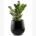 donica.polnix.fiberglass.czarna.tulip.polysk.markowedonice.rosliny.drzewa.kwiaty.markowedonice.png