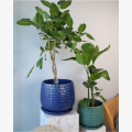 donica.z.podstawkiem.kobaltowa.ceramiczna.polnix.markowedonice.salon.biuro.markowedonice.png