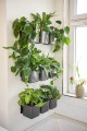 zielone-sciany-we-wnetrzach-lechuza-cube-glossy-green-home-wall-kit.jpg