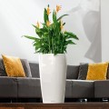 lechuza-rondo-32-premium-biala-donica-do-salonu.jpg