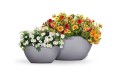 donice-lechuza-cubeto-stone-30-i-40-szare-misy-z-nawadnianiem.jpg