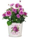 Osłonka na doniczkę z różami 870/13 Paris Fleurs
