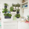 zielona-sciana-doniczki-do-zawieszenia-na-scianie-lechuza-na-ziola-green-wall-home-kit.jpeg