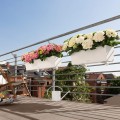 Białe doniczki skrzynki do zawieszenia na balkonie z nawadnianiem Lechuza Balconera.jpeg