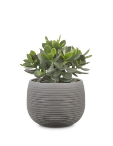 Okrągła osłonka ceramiczna 744 brązowy kamień 21 Scheurich Umber Stone