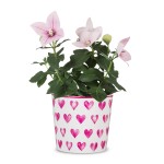 Osłonka na doniczkę w serduszka Scheurich 870 na prezent 13 Happy Heart