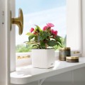 kwadratowa-doniczka-na-parapet-lechuza-cube-color-nawadnianie.jpeg