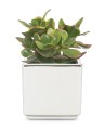 Ceramiczna osłonka lustrzana Scheurich kwadratowa Mirror Silver sklep markowedonice.jpg