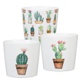 Osłonki w kaktusy Scheurich Cactus garden.jpg