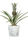 Scheurich Cool Marble ceramiczna osłonka w marmurowy wzór sklep markowedonice.jpg
