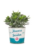 Osłonka na doniczkę Scheurich 870 Retro Garden Flower Garden 13