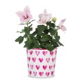 Scheurich ceramiczna osłonka na doniczkę Happy Heart w serduszka na prezent.jpg