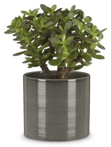 Mała ciemnoszara osłonka na doniczkę 828 walec 10 Scheurich Glass Grey mini