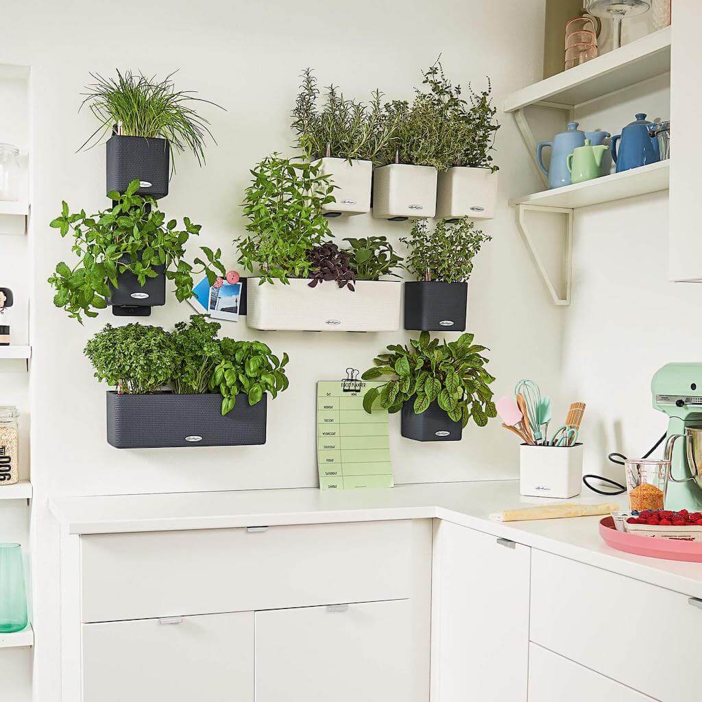 zielona ściana lechuza doniczki do zawieszenia na ścianie Green Wall Home Kit