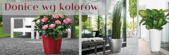 donice według kolorów, doniczki w różnych kolorach