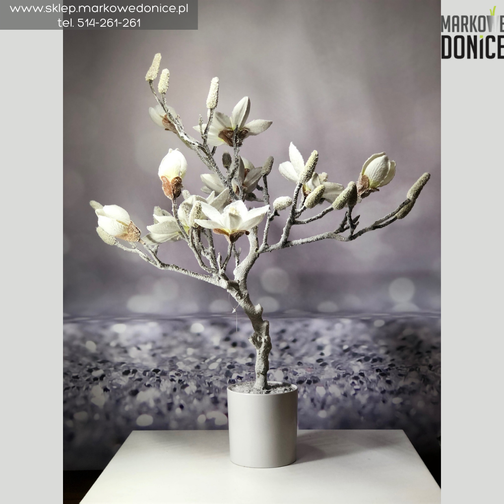 sztuczna magnolia w doniczce zimowa biała ośnieżona