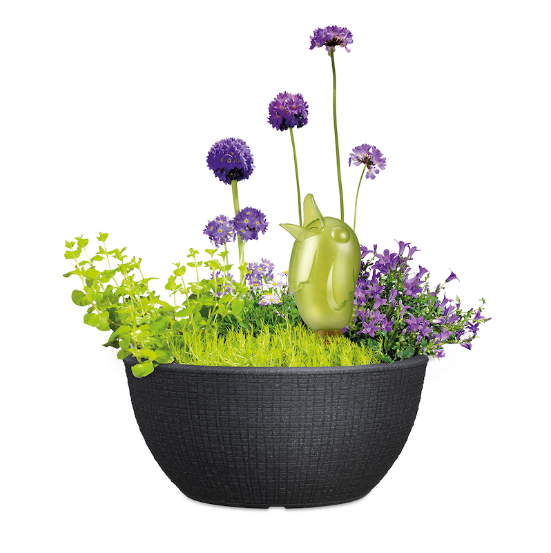 misy ogrodowe donice scheurich barceo bowl i nawadniacze boerdy