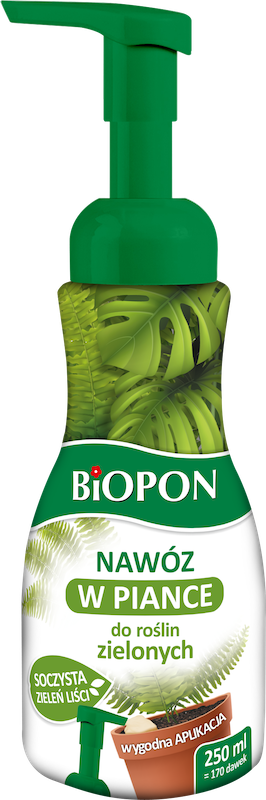 gotowy nawóz w piance do roślin zielonych - palmy, draceny, jukki Biopon
