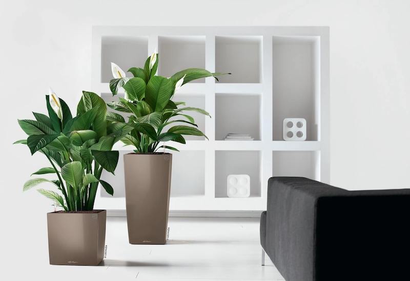 szarobrązowa kwadratowa donica do ogrodu salonu na taras lechuza cube i cubico taupe premium
