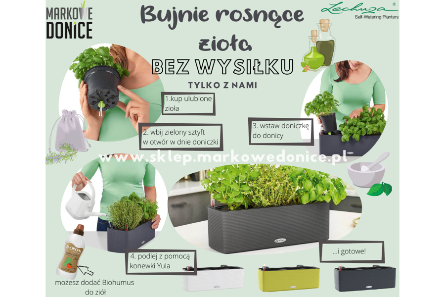 Bujne zioła bez wysiłku - doniczki na zioła Lechuza