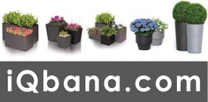 Donice IQbana